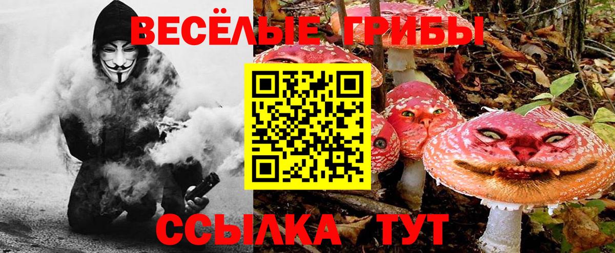 Галлюциногенные грибы ЛСД Новоалександровск