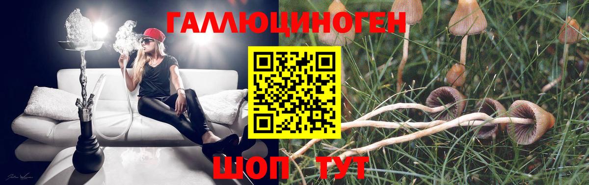 Галлюциногенные грибы Psilocybine cubensis  Галлюциногенные грибы MAGIC MUSHROOMS  Новоалександровск  Вход с VPN 